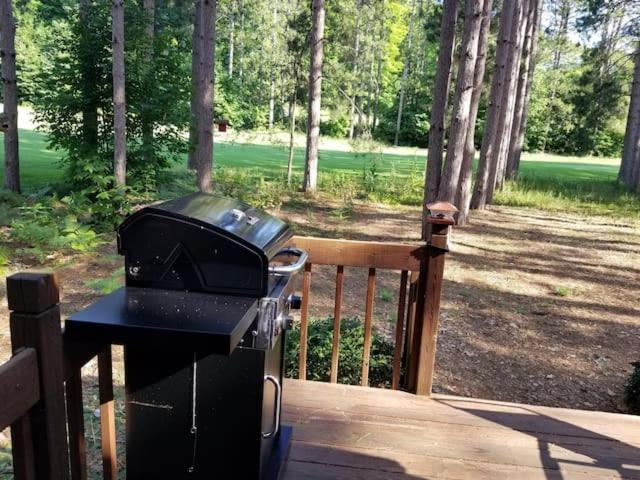 Crystal Mountain Cabin-Shuttle Pass Included! Thompsonville Eksteriør bilde